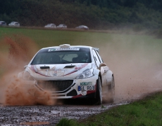 Renn- und Rallysport